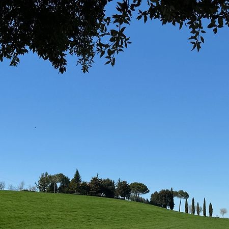 Orvieto Country House Castiglione In Teverina エクステリア 写真