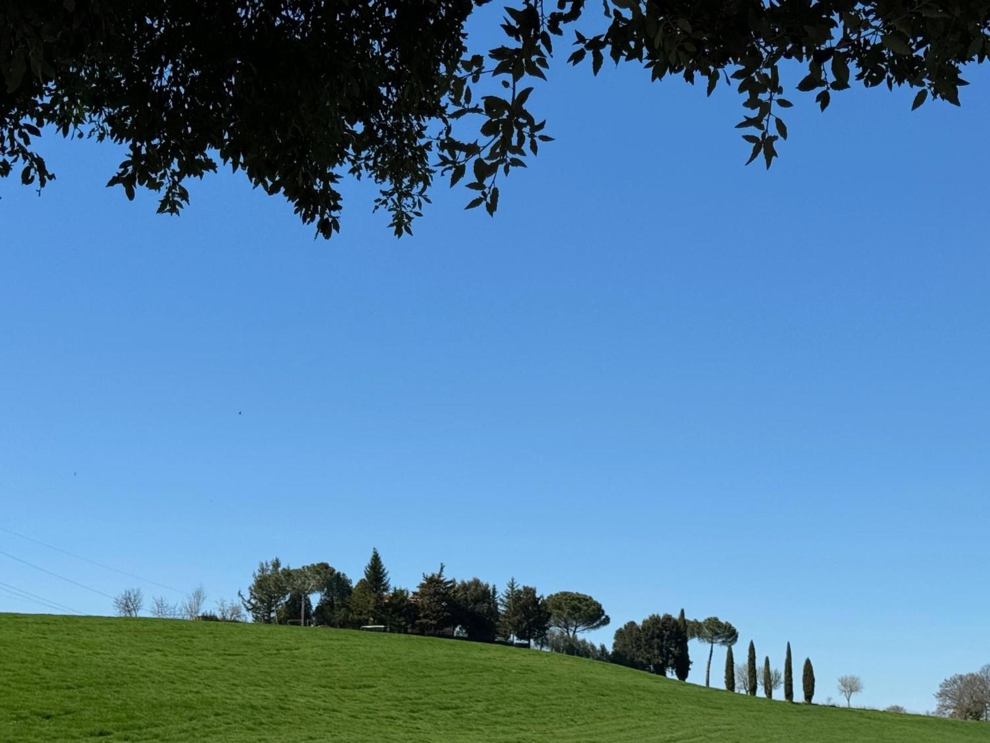 Orvieto Country House Castiglione In Teverina エクステリア 写真
