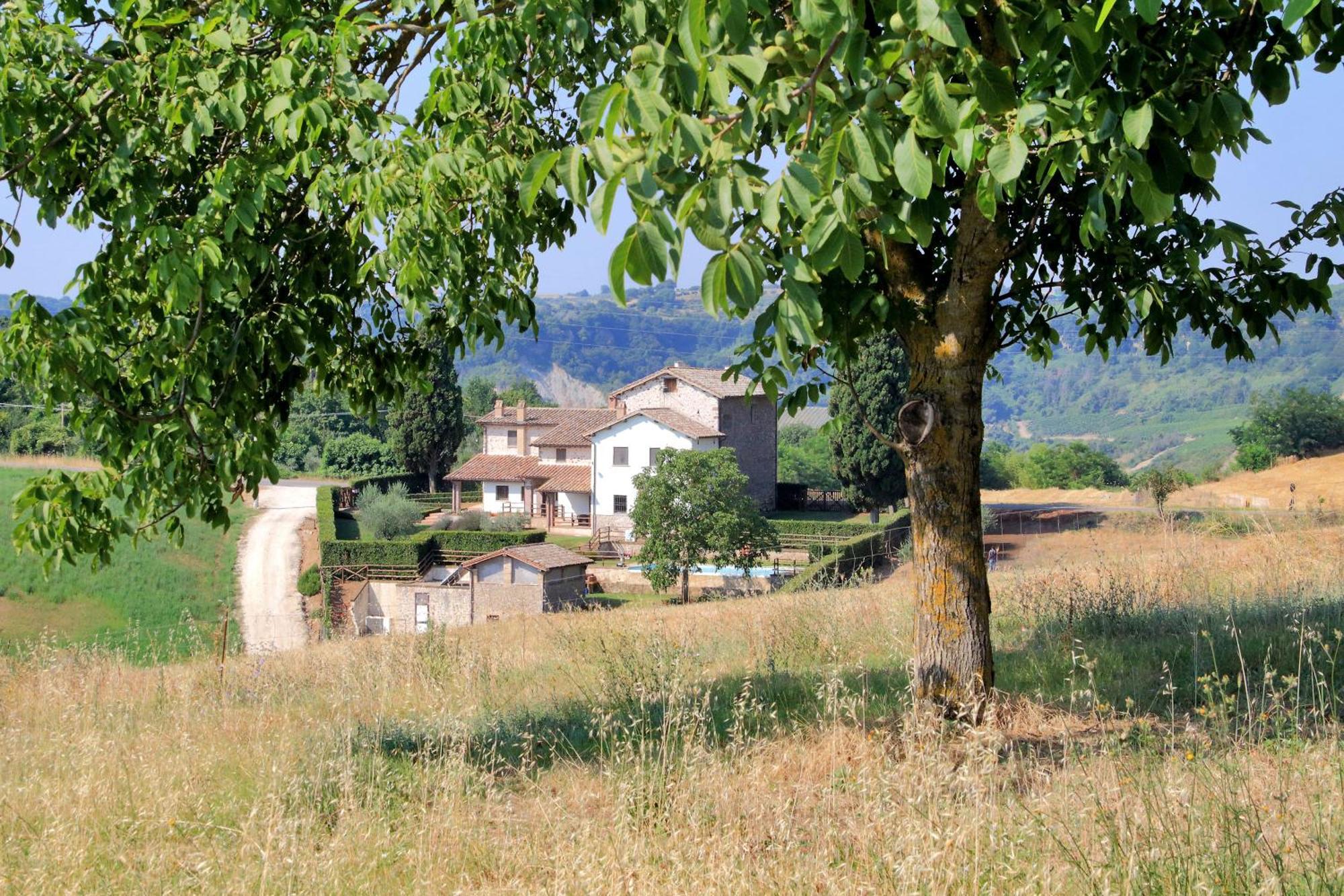 Orvieto Country House Castiglione In Teverina エクステリア 写真