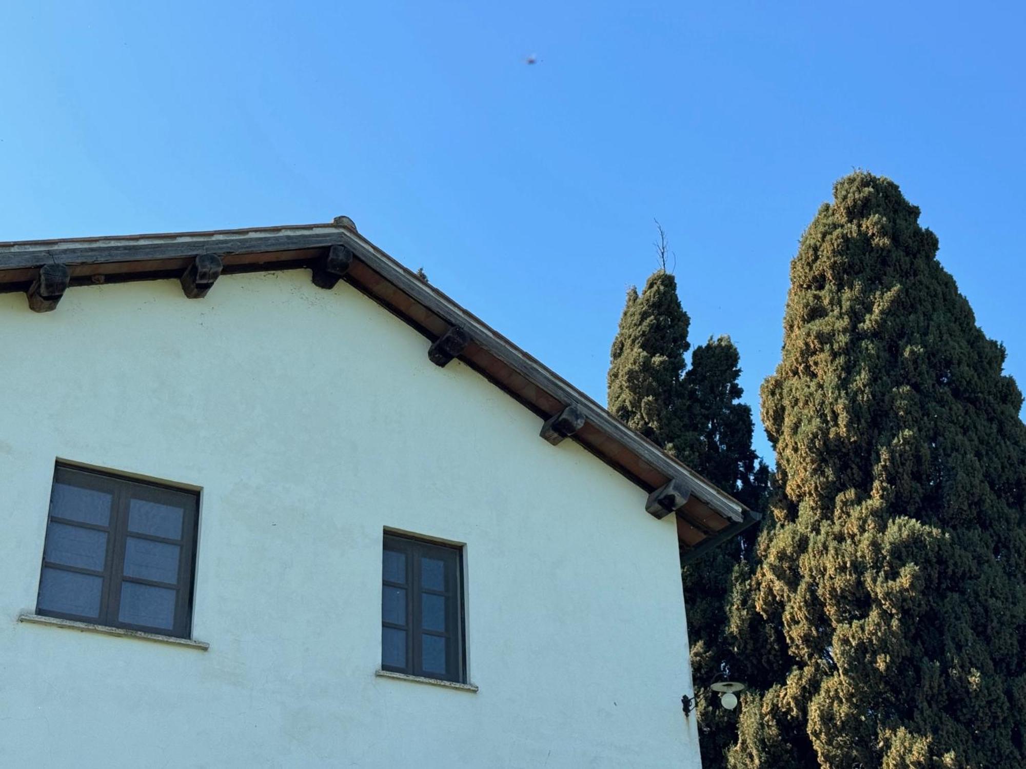 Orvieto Country House Castiglione In Teverina エクステリア 写真