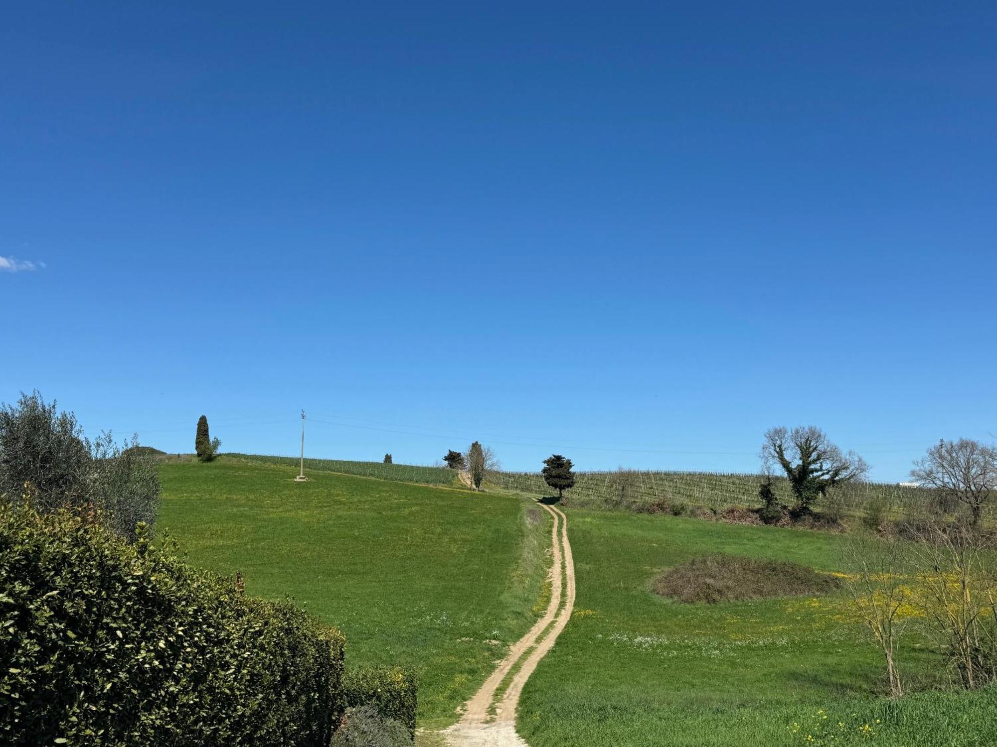 Orvieto Country House Castiglione In Teverina エクステリア 写真