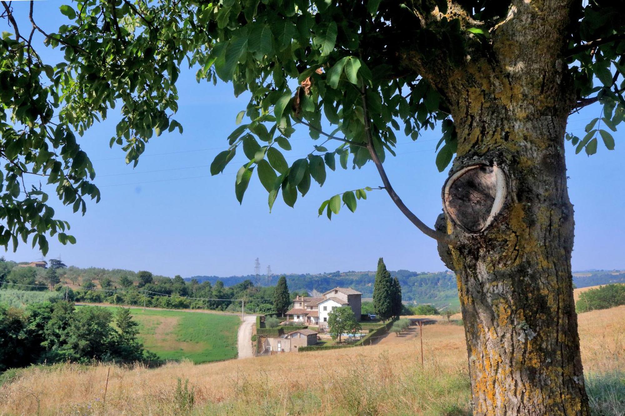 Orvieto Country House Castiglione In Teverina エクステリア 写真