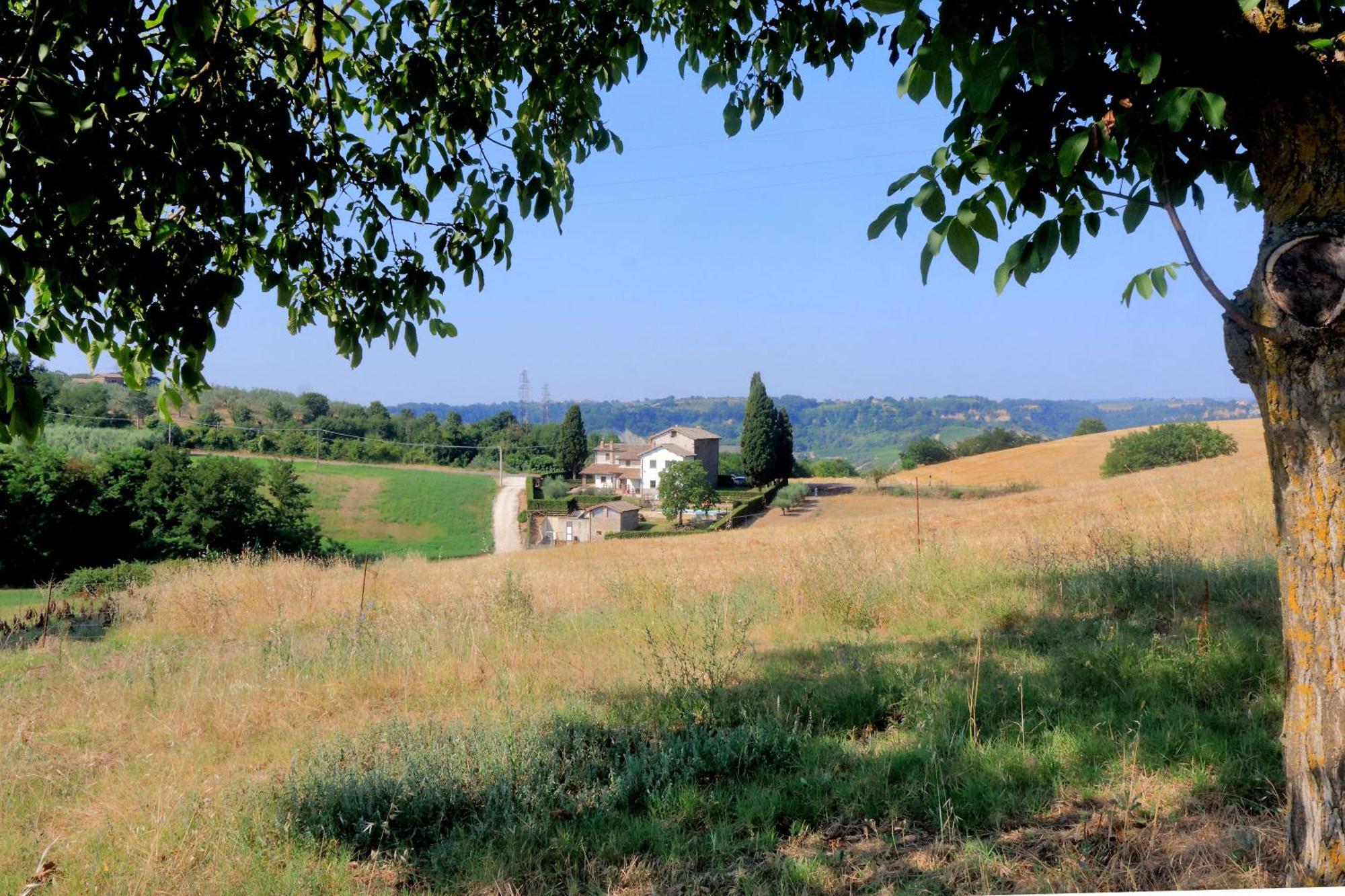 Orvieto Country House Castiglione In Teverina エクステリア 写真