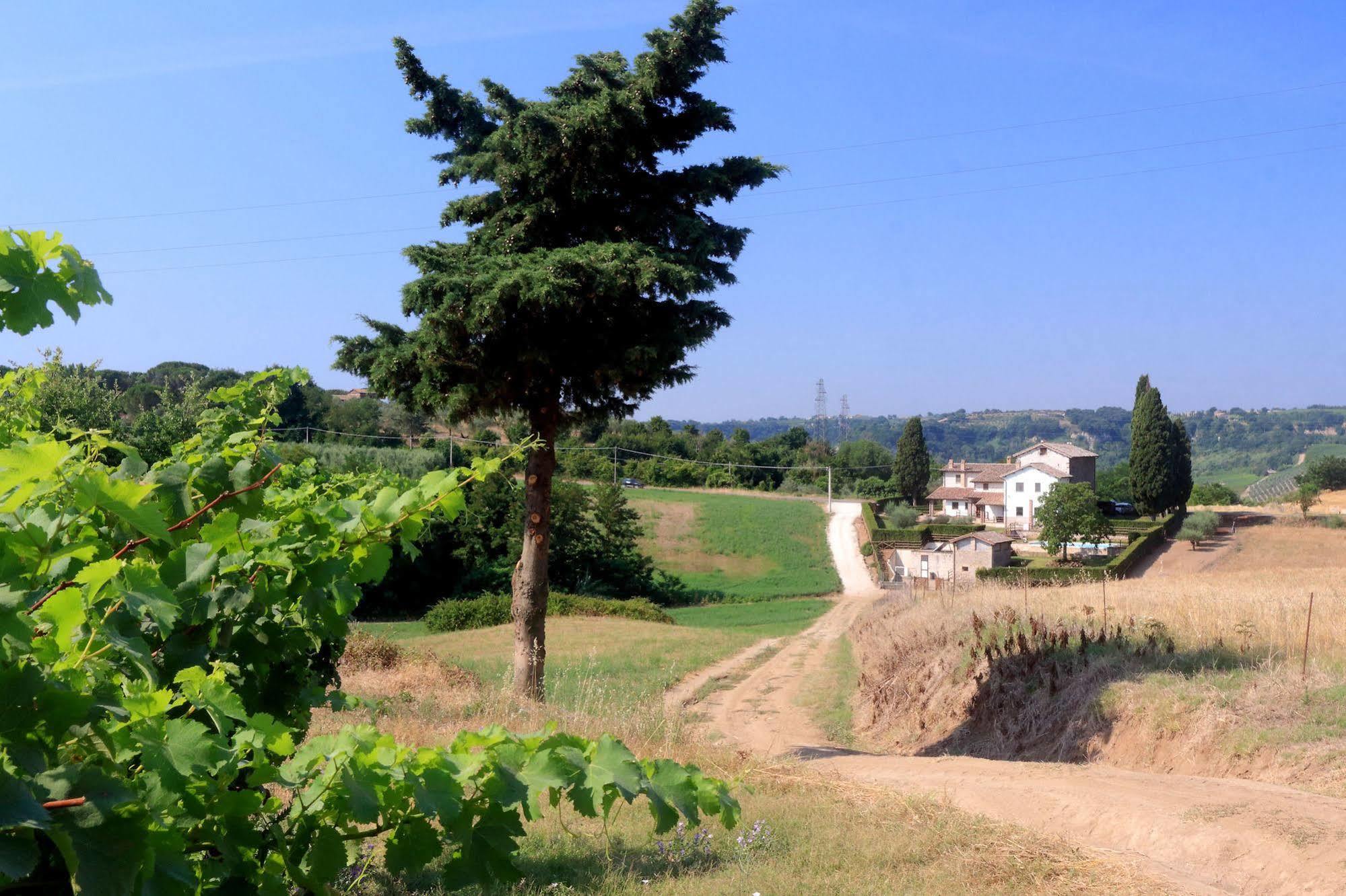 Orvieto Country House Castiglione In Teverina エクステリア 写真